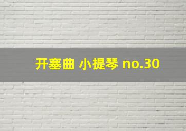 开塞曲 小提琴 no.30